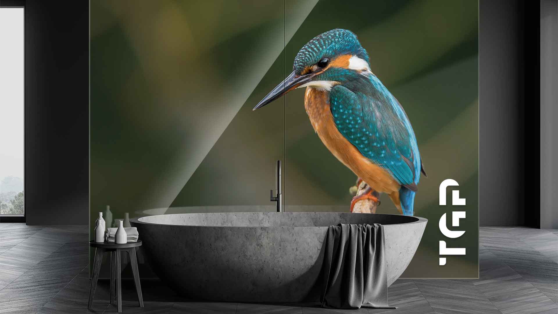 ANM001 placare perete sticla printata baie