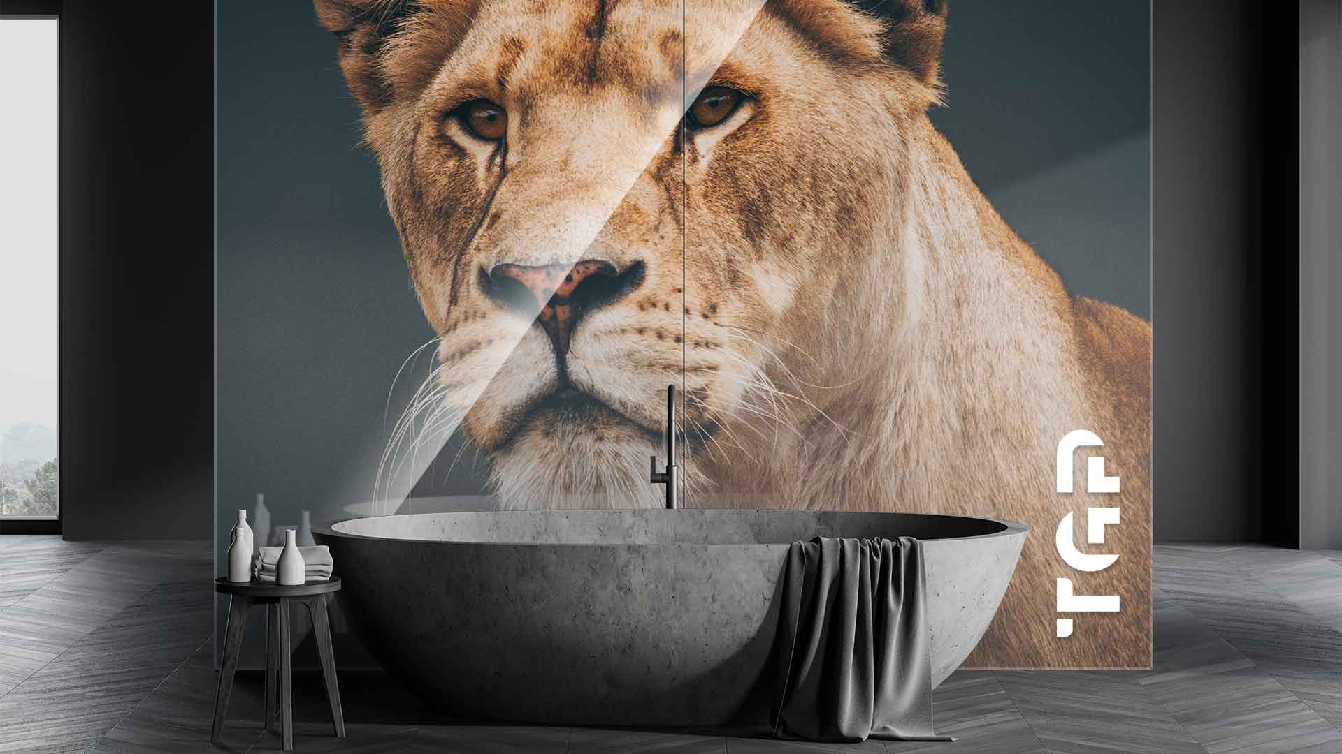 ANM003 placare perete sticla printata baie