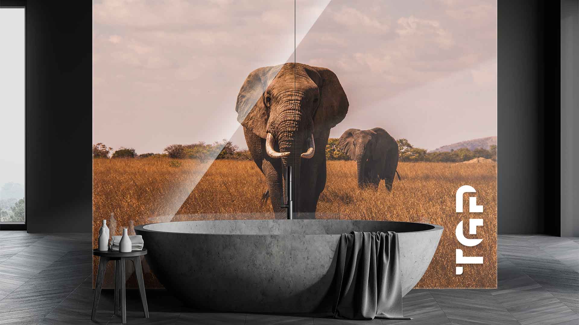 ANM004 placare perete sticla printata baie