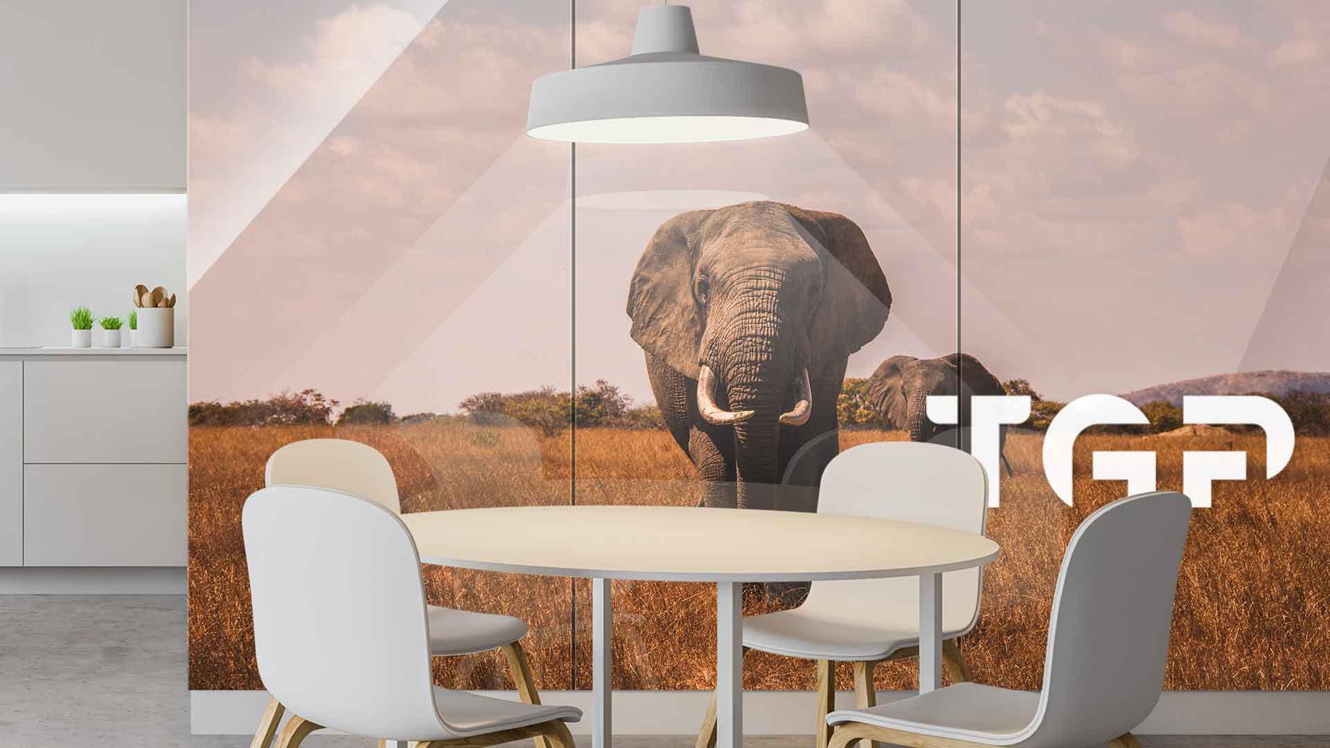 ANM004 placare perete sticlă printată bucătărie