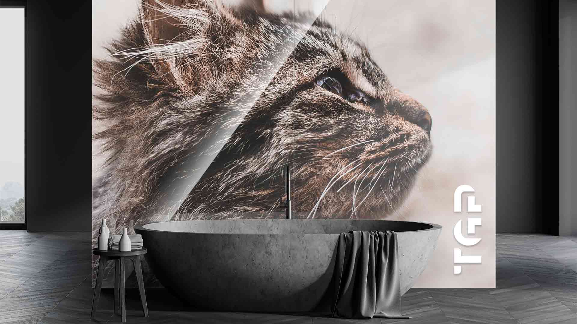 ANM009 placare perete sticla printata baie