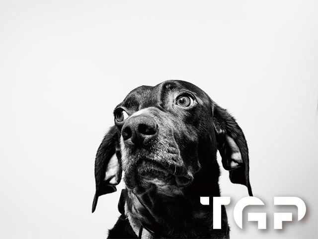 ANM010 model sticlă printată