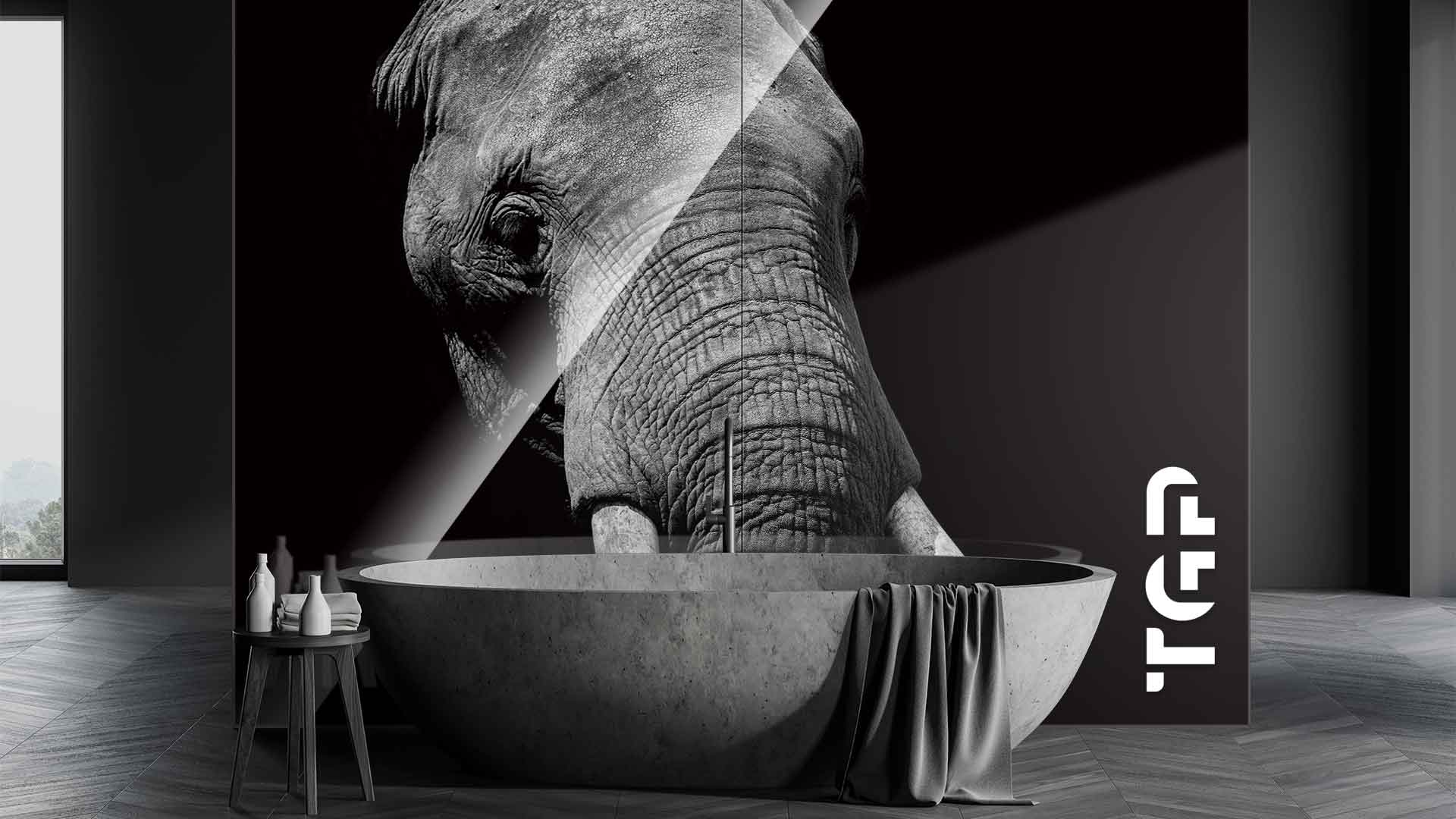 ANM016 placare perete sticla printata baie