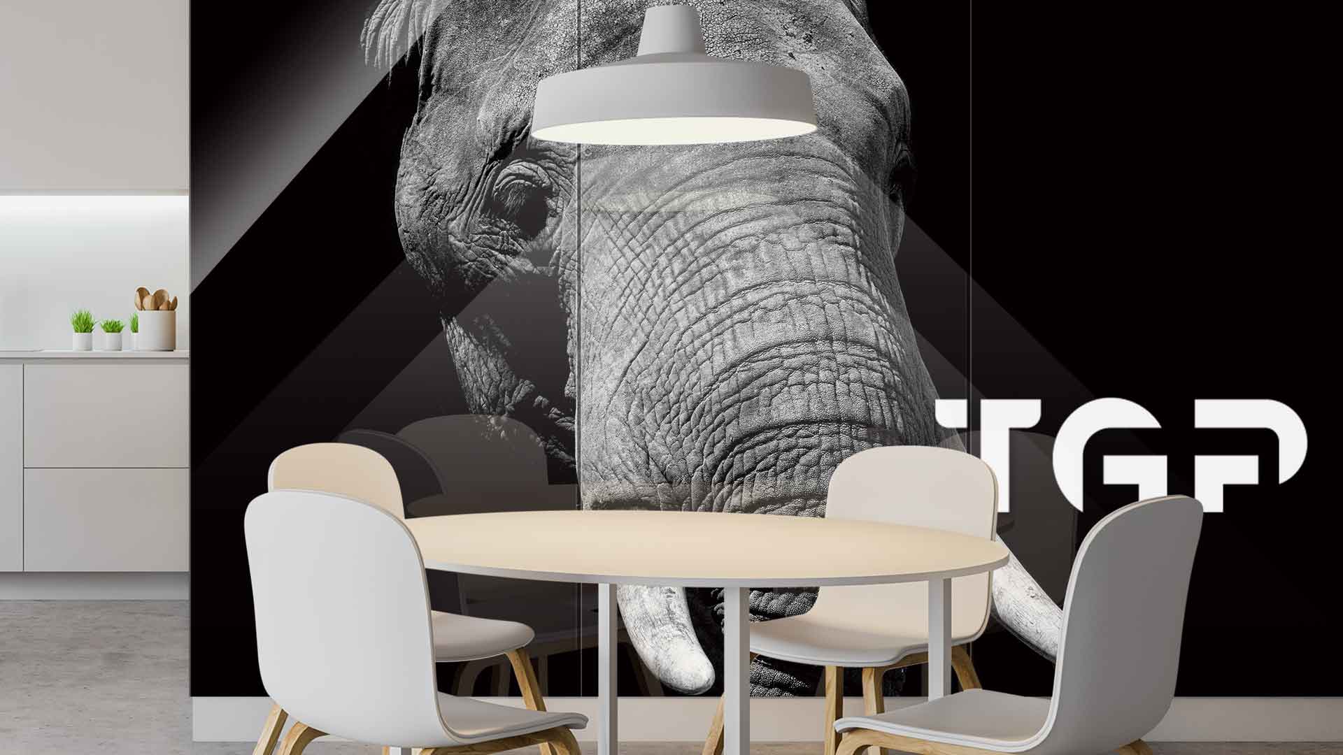 ANM016 placare perete sticlă printată bucătărie