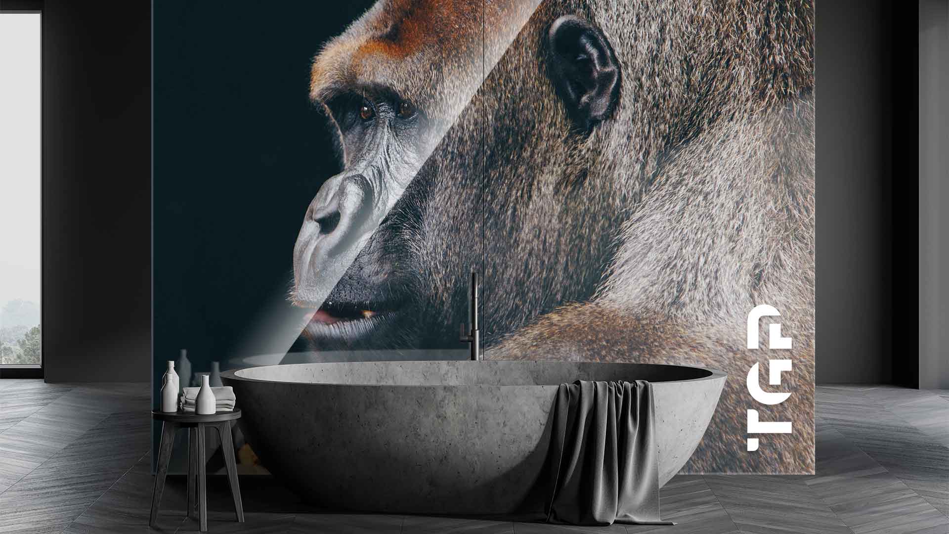 ANM019 placare perete sticla printata baie