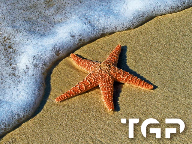 AQA020 model sticlă printată