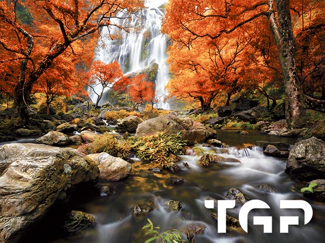 AQA021 sticla printata