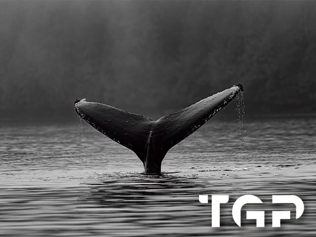 AQA022 sticla printata