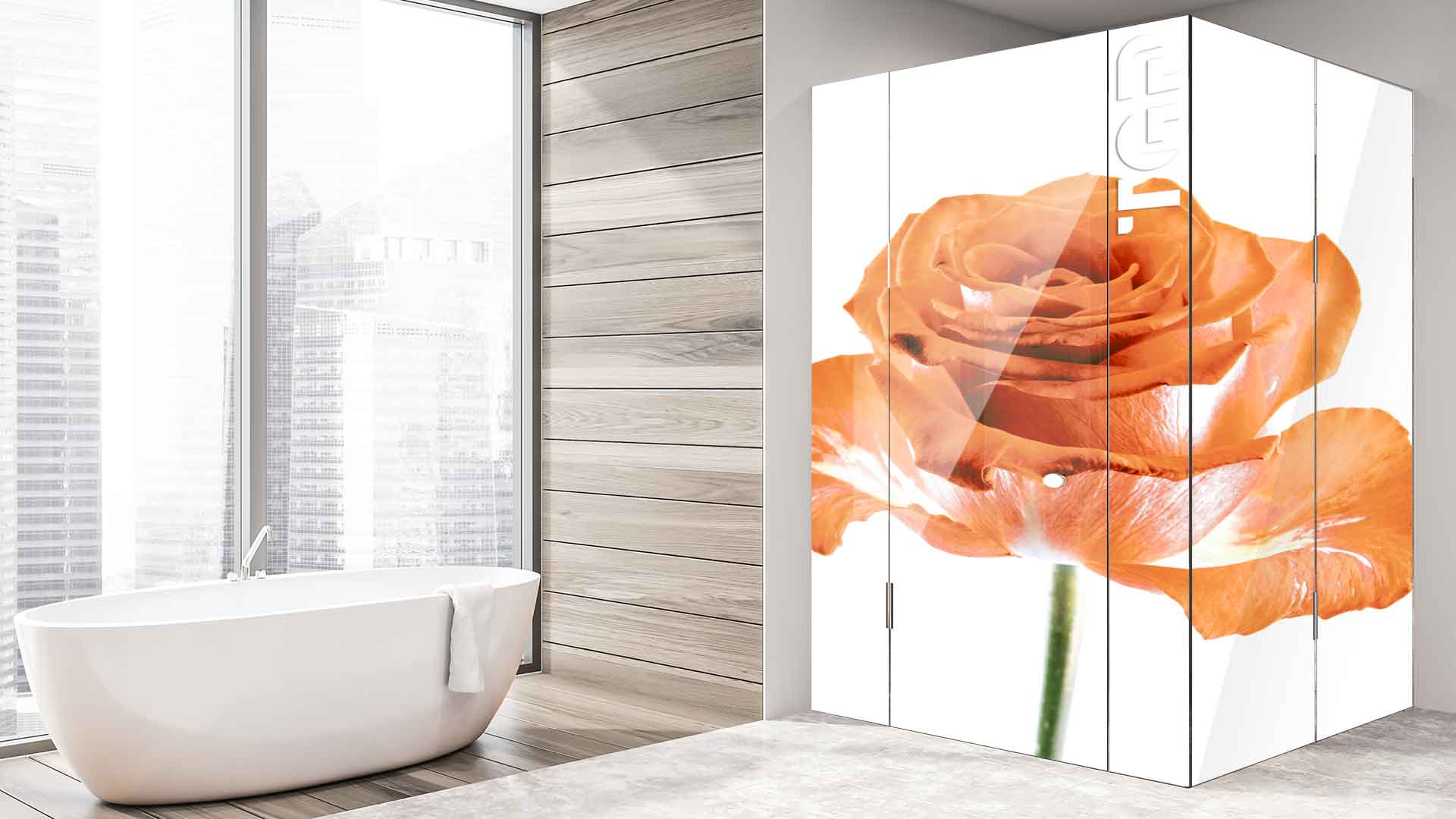 FLW003 cabina dus sticlă printată