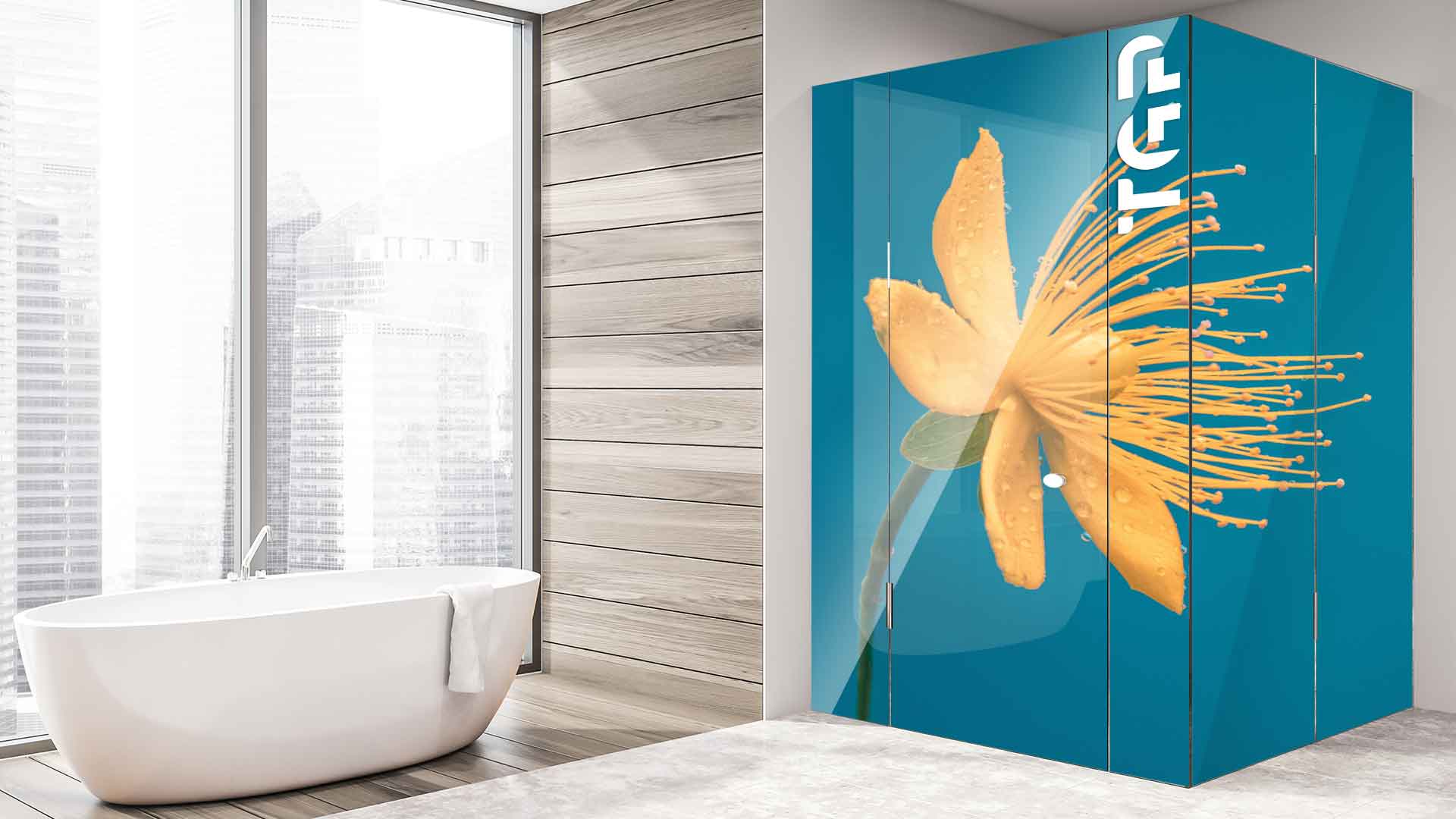 FLW005 cabina dus sticlă printată