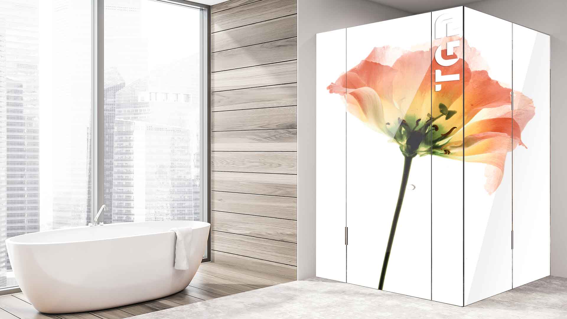 FLW006 cabina dus sticlă printată