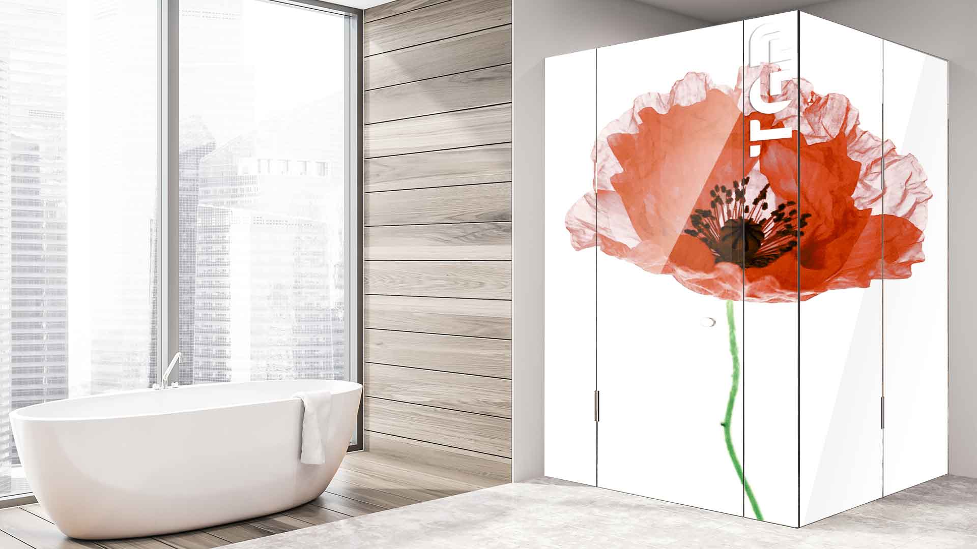 FLW008 cabina dus sticlă printată