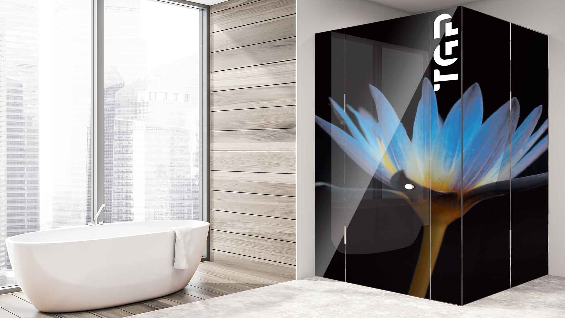 FLW013 cabina dus sticlă printată