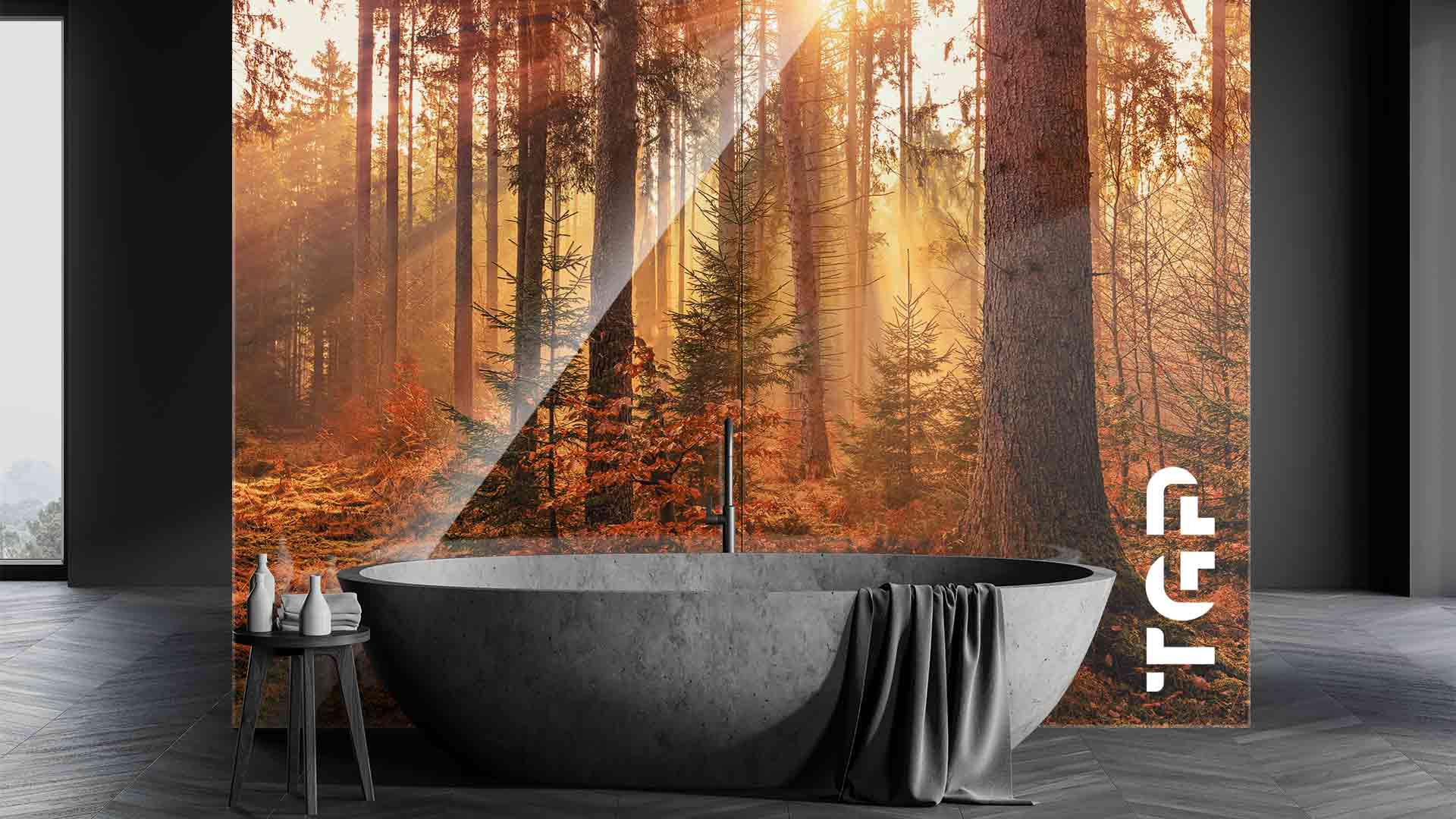 FRT005 placare perete sticla printata baie