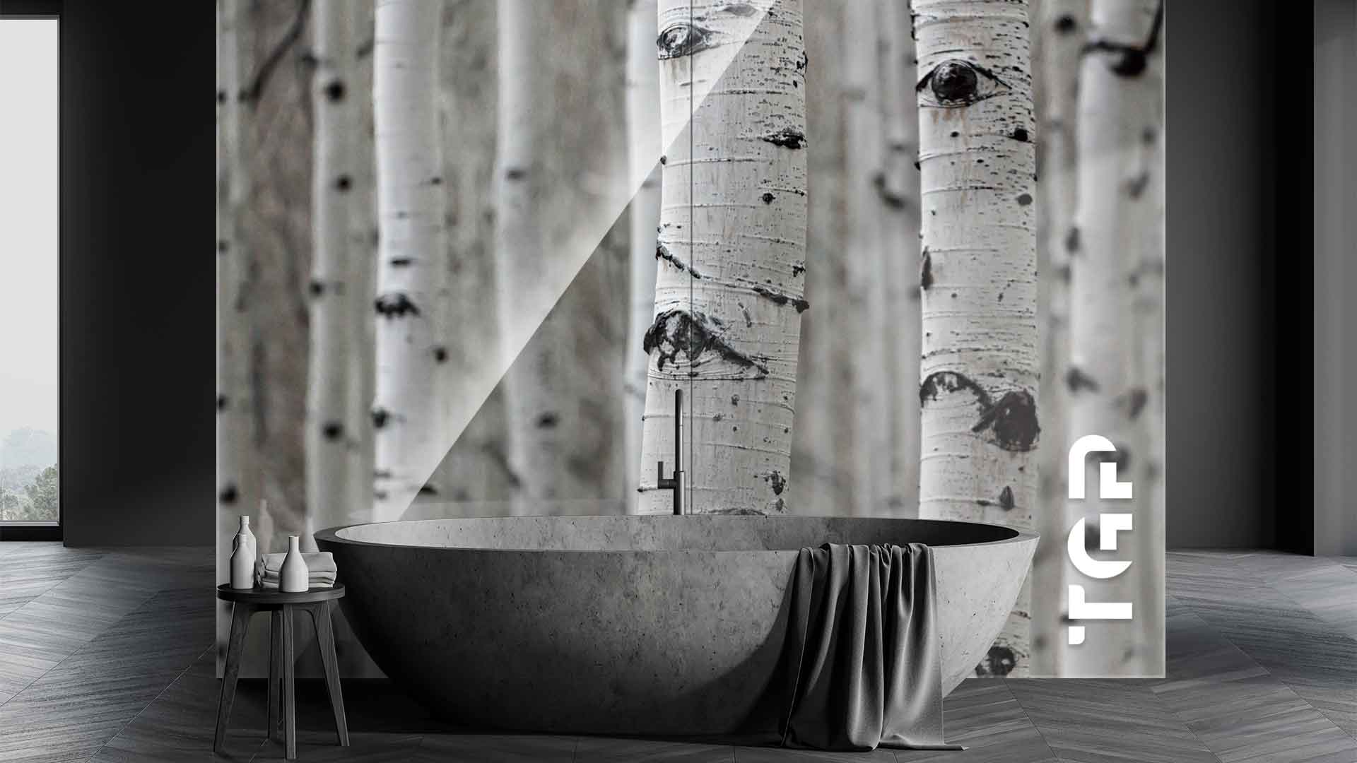 FRT012 placare perete sticla printata baie