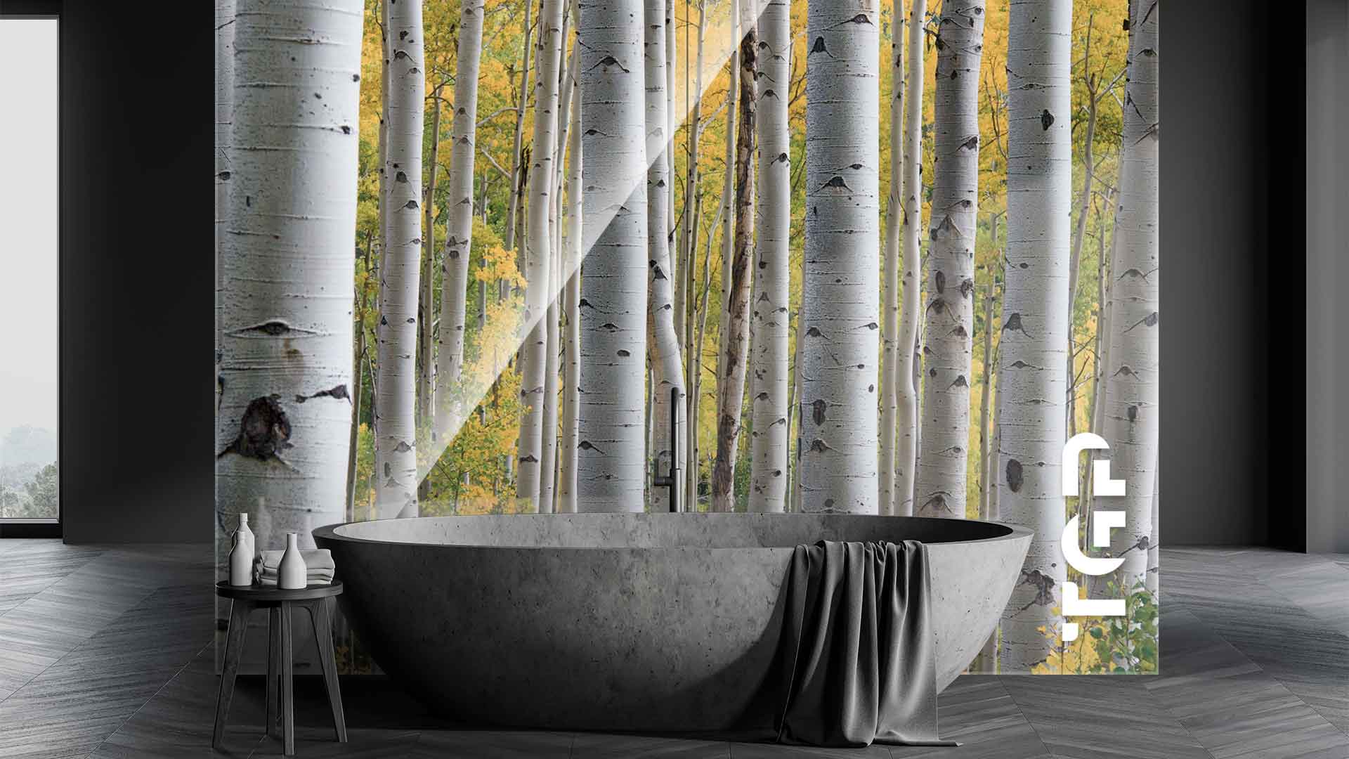 FRT017 placare perete sticla printata baie