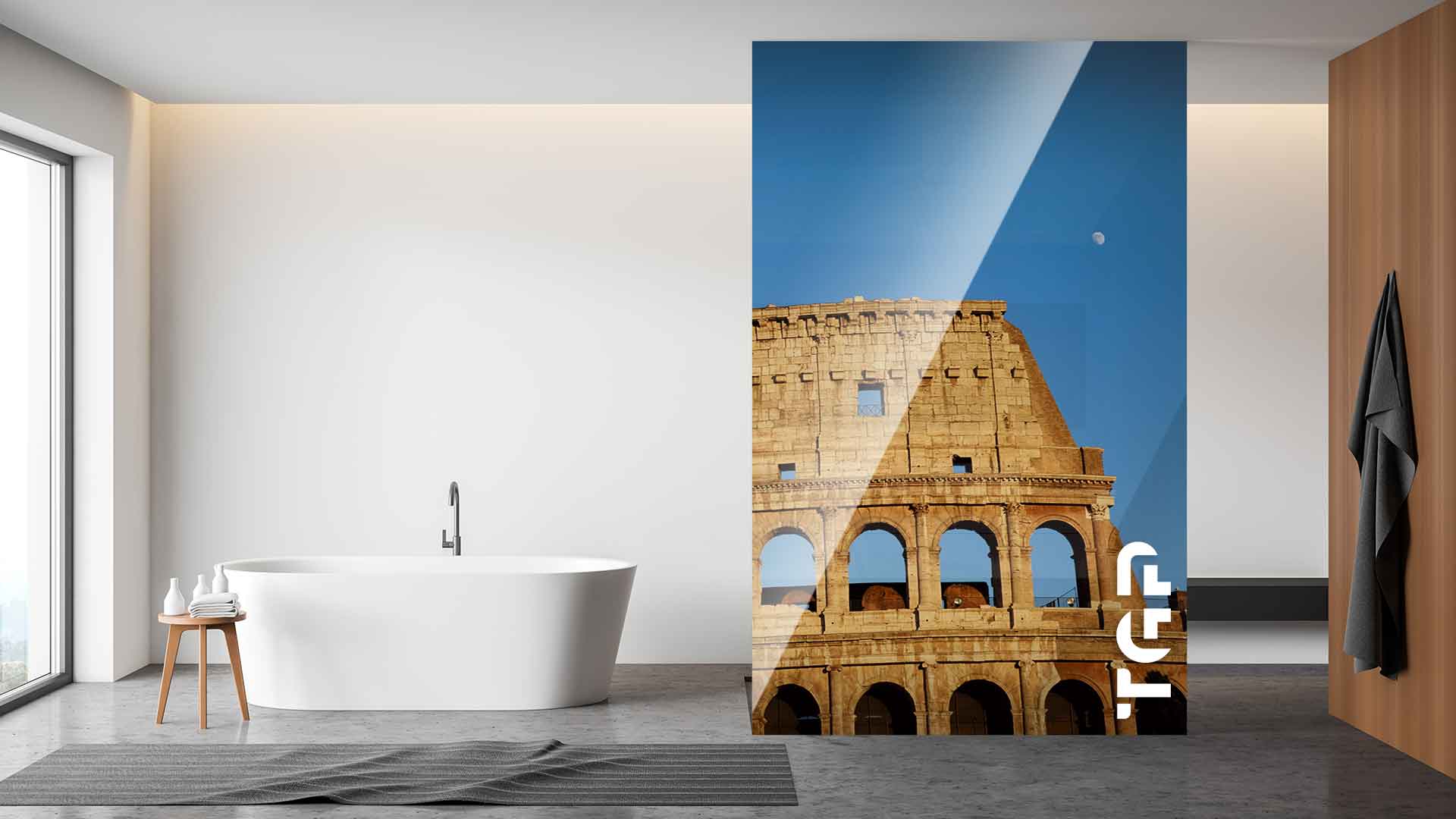 LDM008 Paravan dus sticla printata