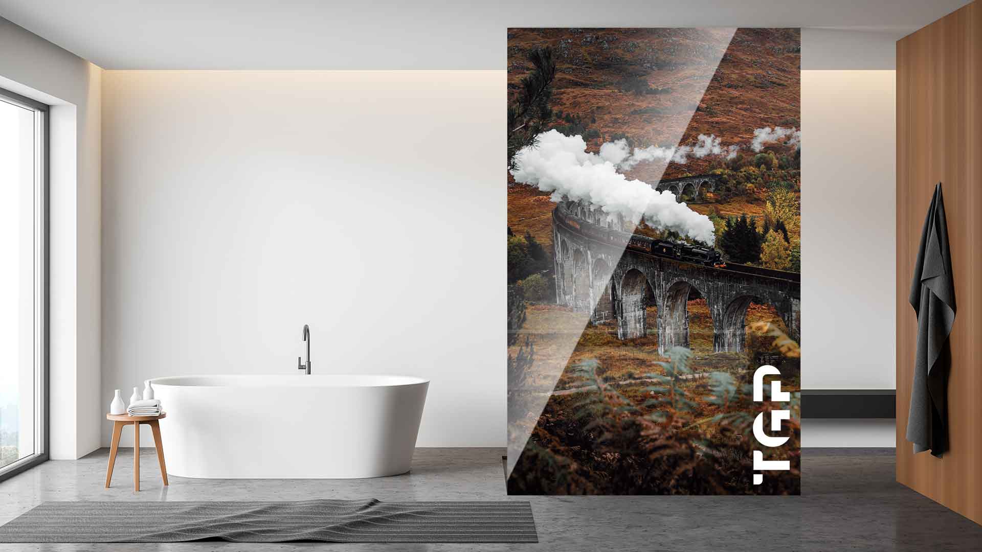 LDM011 Paravan dus sticla printata