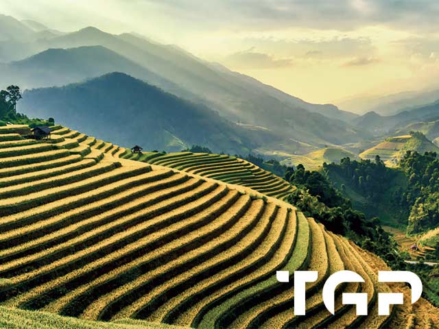 NTR002 model sticlă printată