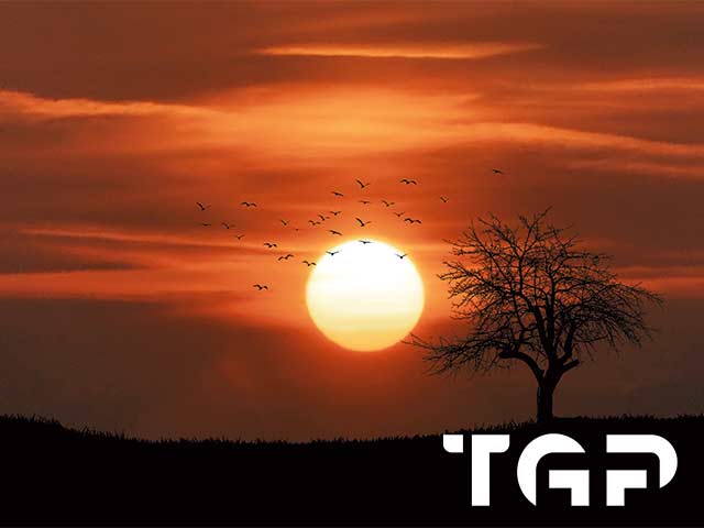 NTR003 model sticlă printată