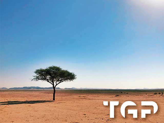 NTR006 model sticlă printată