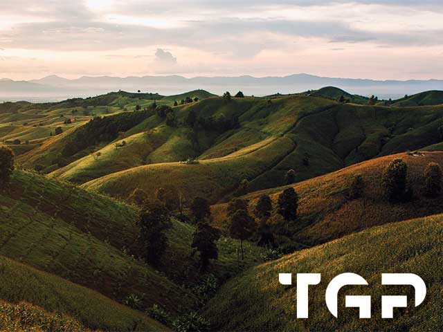 NTR009 model sticlă printată