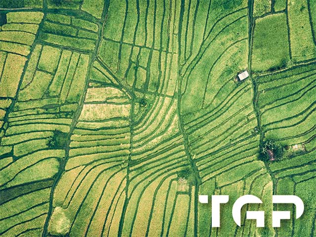 NTR019 model sticlă printată