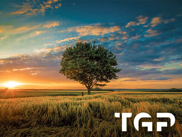 NTR021 model sticlă printată