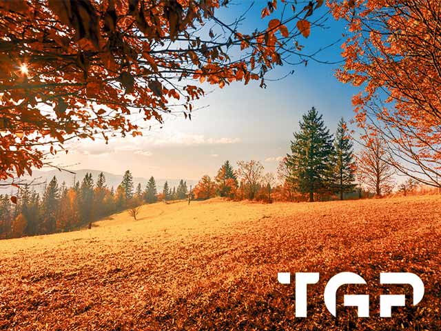 NTR023 placare bucatarie sticla printata