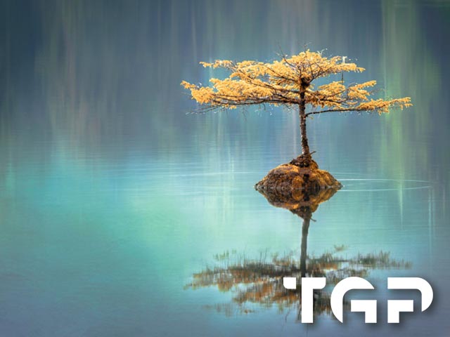 ZEN005 model sticlă printată