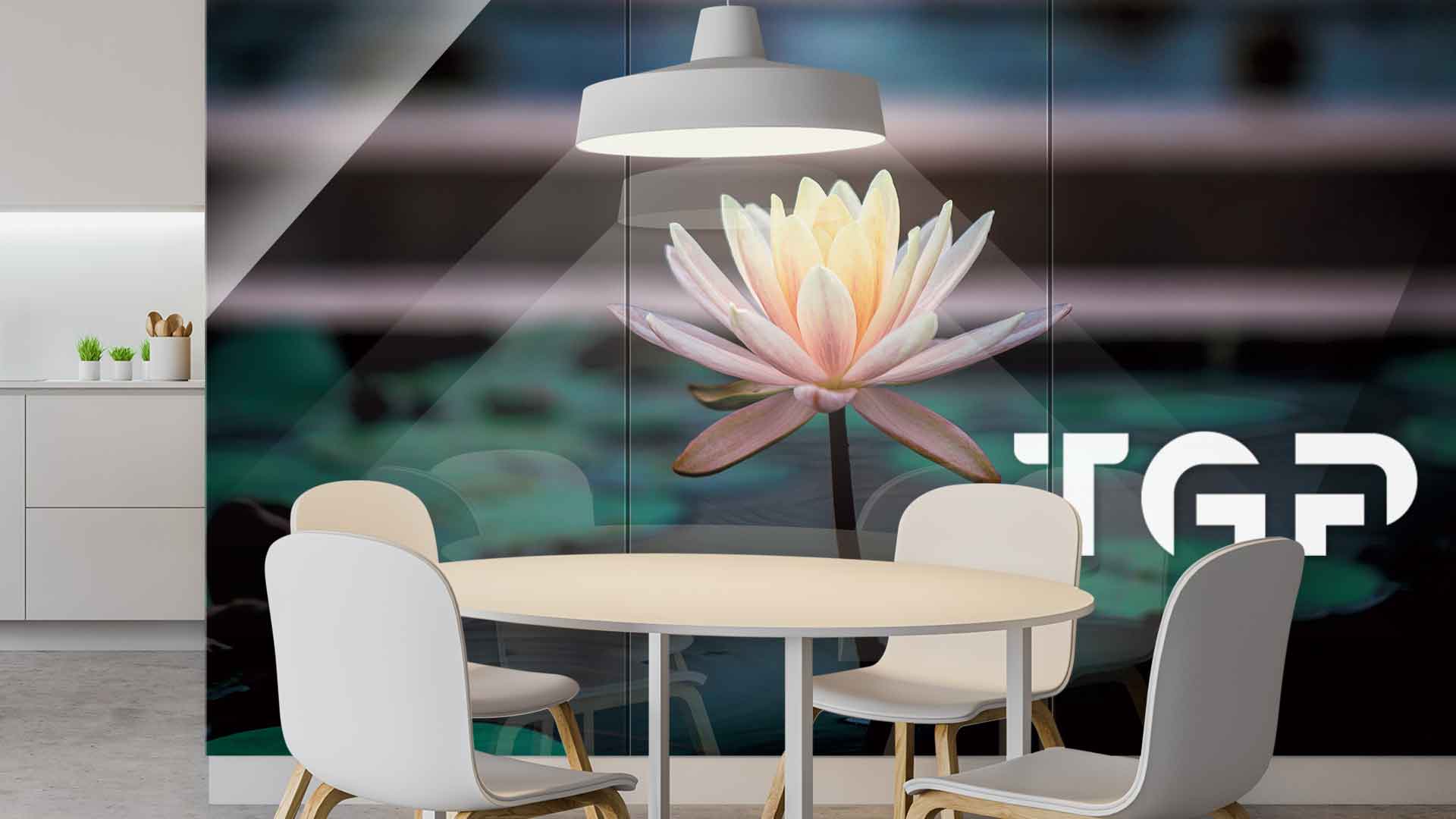 ZEN008 placare perete sticlă printată bucătărie