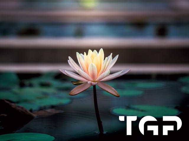 ZEN008 model sticlă printată