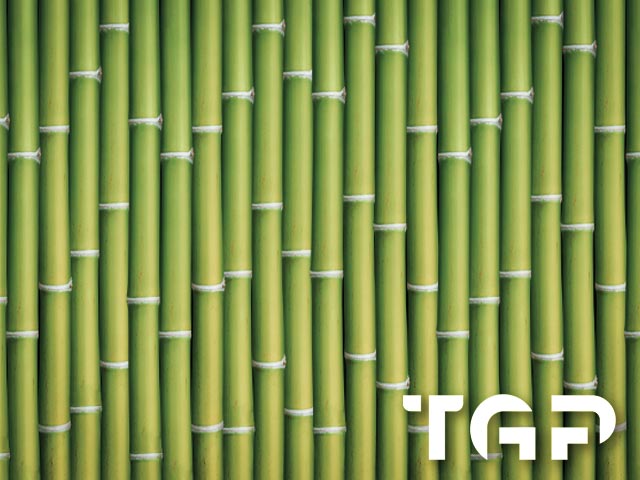 ZEN009 model sticlă printată