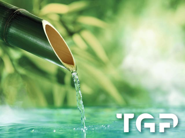 ZEN011 model sticlă printată