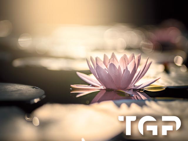 ZEN012 model sticlă printată