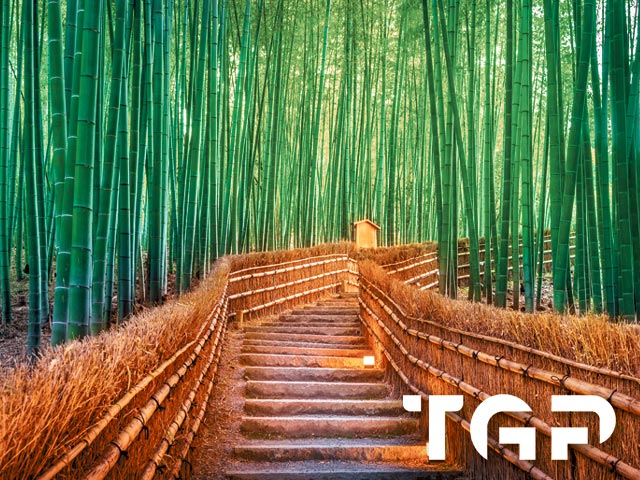 ZEN013 model sticlă printată