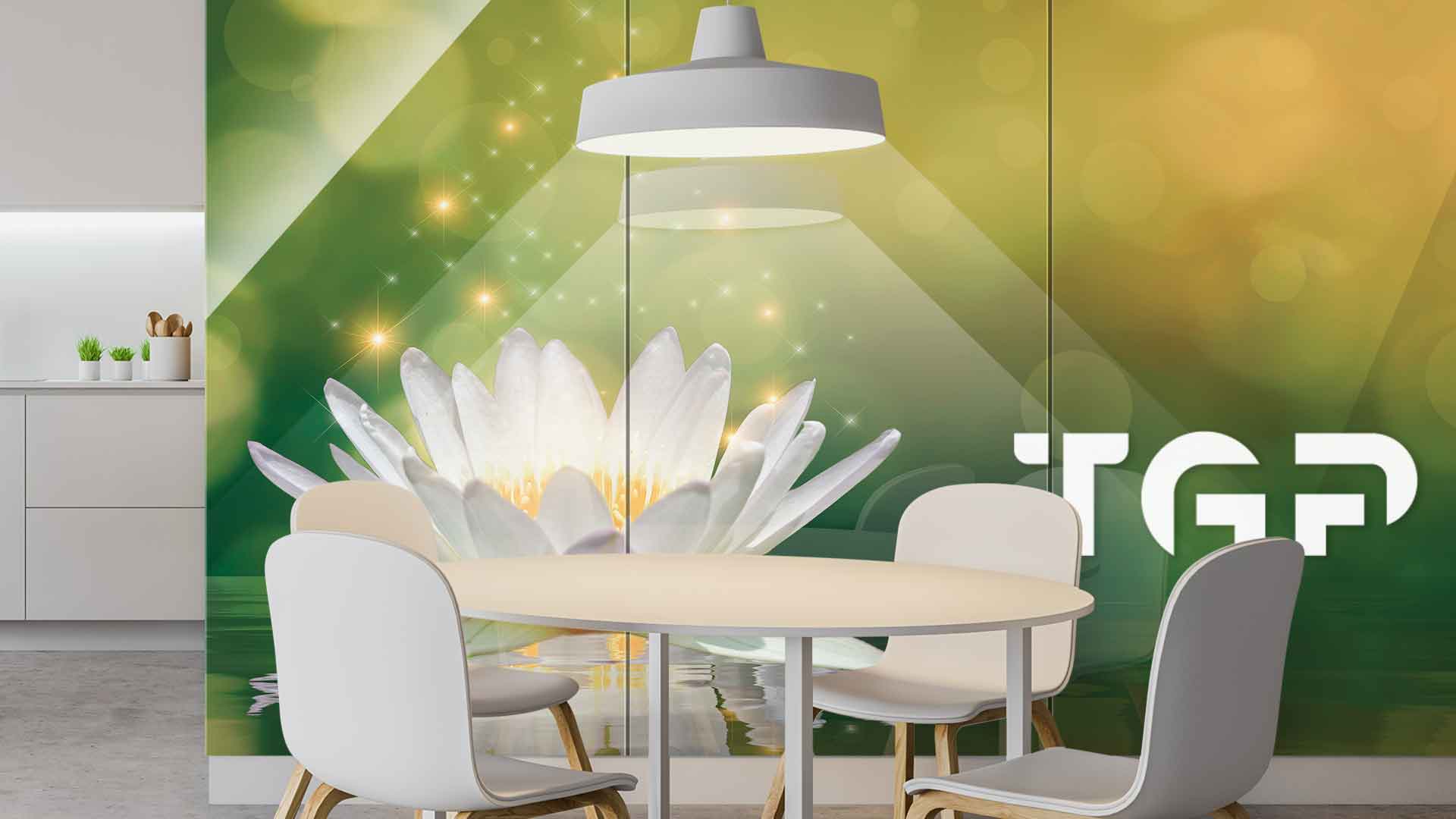 ZEN015 placare perete sticlă printată bucătărie ZEN015 placare perete sticlă printată bucătărie