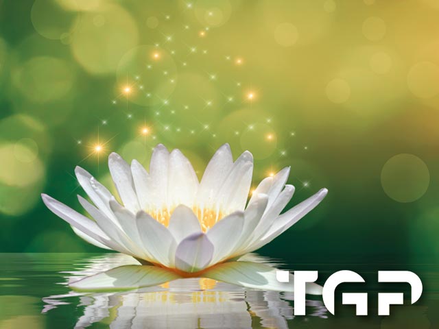 ZEN015 model sticlă printată