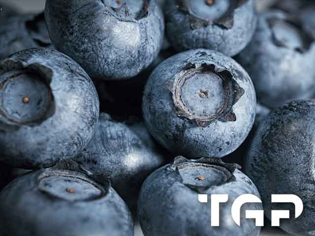 DLC030 model sticlă printată