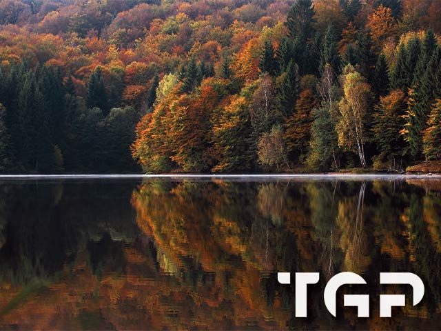 FRT001 model sticlă printată