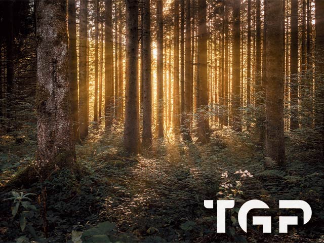 FRT002 model sticlă printată