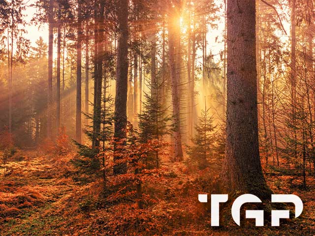 FRT005 model sticlă printată