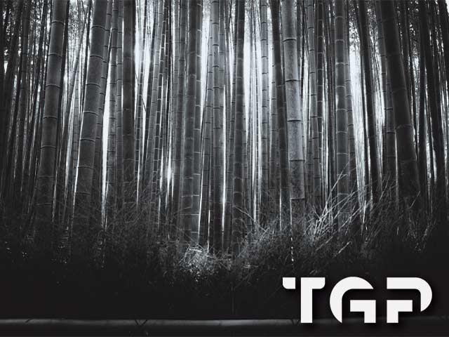 FRT008 model sticlă printată