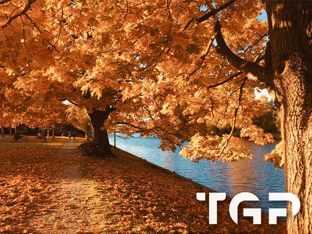 FRT009 model sticlă printată