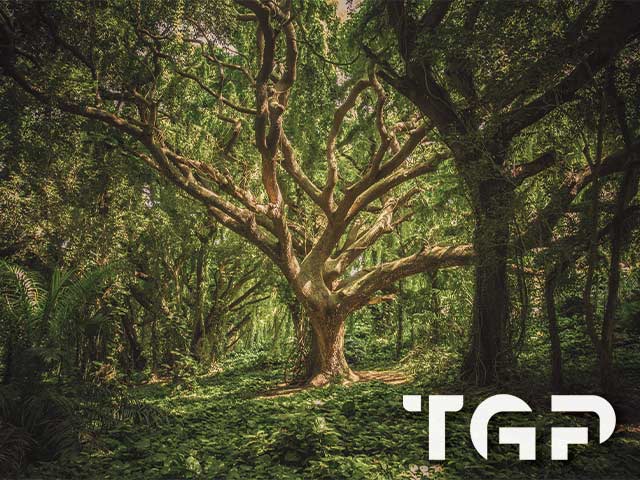 FRT010 model sticlă printată