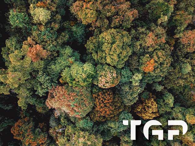 FRT011 model sticlă printată