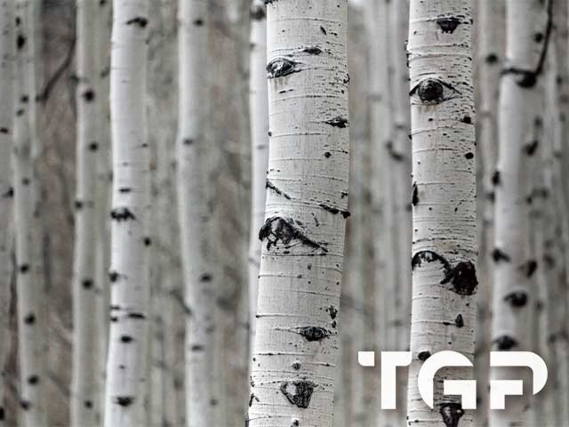 FRT012 model sticlă printată