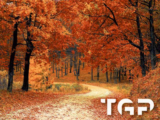 FRT013 model sticlă printată