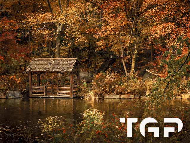 FRT014 model sticlă printată