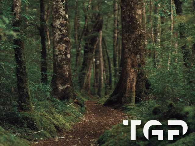 FRT015 model sticlă printată